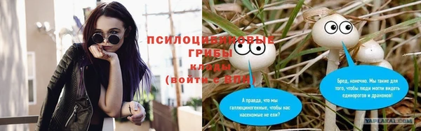 ешки Алексеевка