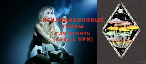 ПСИЛОЦИБИНОВЫЕ ГРИБЫ Алзамай