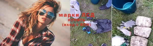 ПСИЛОЦИБИНОВЫЕ ГРИБЫ Алзамай