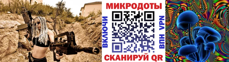 магазин    Кизилюрт  Галлюциногенные грибы Psilocybine cubensis 